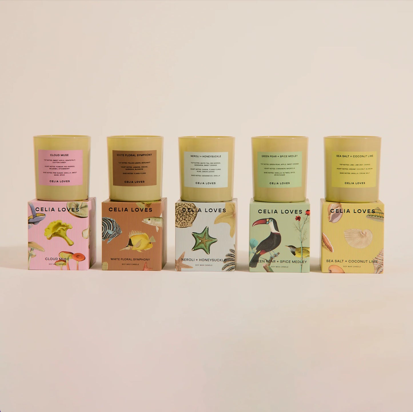 Celia Loves Candle Green Pear & Spice Medley